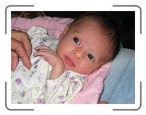 IMG_0529 * 2272 x 1704 * (953KB)