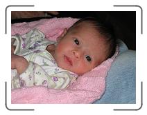 IMG_0531 * 2272 x 1704 * (938KB)