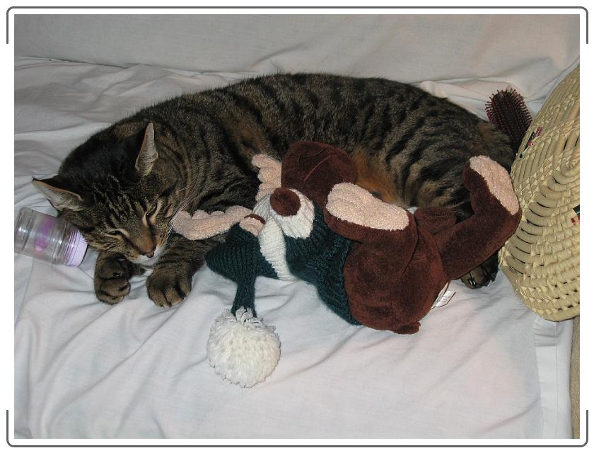 You have reached the last slide