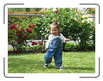 IMG_1090 * 2272 x 1704 * (1.8MB)