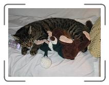 IMG_1314 * 2272 x 1704 * (974KB)