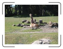 IMG_1416 * 2272 x 1704 * (1.5MB)