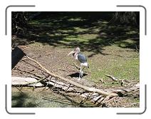 IMG_1417 * 2272 x 1704 * (1.55MB)