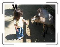 IMG_1418 * 2272 x 1704 * (1.07MB)