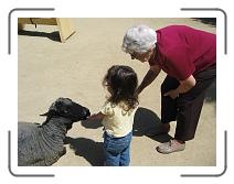 IMG_1419 * 2272 x 1704 * (1.07MB)