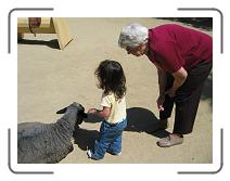 IMG_1420 * 2272 x 1704 * (891KB)