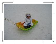 IMG_1335 * 2272 x 1704 * (616KB)