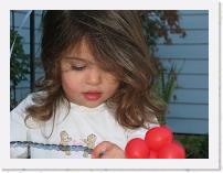 IMG_1539 * 2272 x 1704 * (802KB)