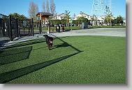 574 * 900 x 600 * (236KB)