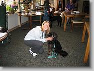 IMG_0039 * 2272 x 1704 * (1.16MB)