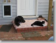 IMG_0048 * 2272 x 1704 * (815KB)