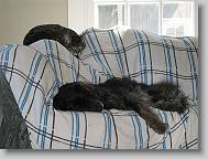 IMG_0175 * 2272 x 1704 * (946KB)