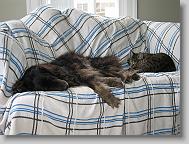 IMG_0185 * 2272 x 1704 * (1009KB)