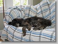 IMG_0186 * 2272 x 1704 * (1.17MB)