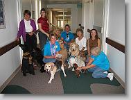 IMG_0275 * 2272 x 1704 * (981KB)