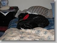 IMG_0392 * 2272 x 1704 * (972KB)