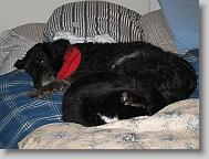 IMG_0393 * 2272 x 1704 * (1.04MB)