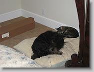 IMG_0495 * 2272 x 1704 * (832KB)