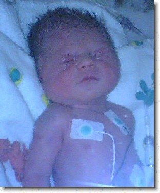 You have reached the last slide