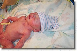 100_2892 * 2160 x 1440 * (358KB)