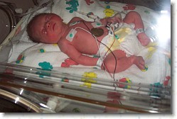 100_2913 * 2160 x 1440 * (401KB)