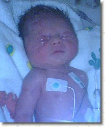 daddysfirst_pic * 300 x 365 * (100KB)